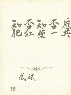 知否知否应是绿肥红瘦一共多少集