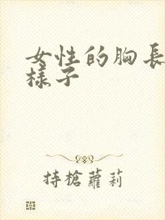 女性的胸长什么样子