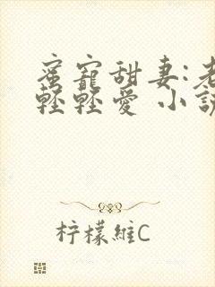 蜜宠甜妻:老公轻轻爱 小说