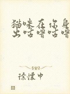 猫咪在你身边发出咕噜咕噜的声音