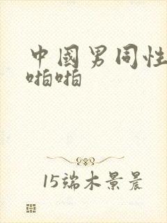 中国男同性恋啪啪啪