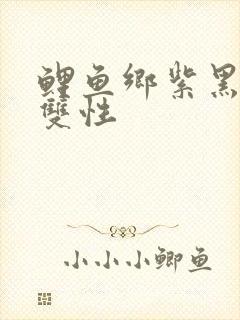 鲤鱼乡紫黑粗大双性