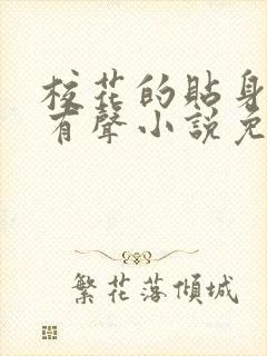 校花的贴身高手有声小说免费听丸子