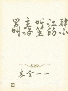 男主叫江肆女主叫洛笙的小说封面