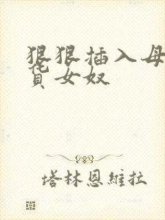 狠狠插入母狗骚货女奴