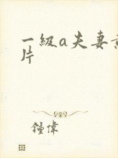 一级a夫妻黄色片