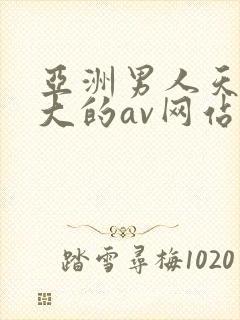 亚洲男人天堂最大的av网站