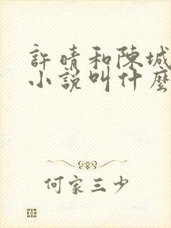 许晴和陈城原著小说叫什么