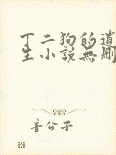 丁二狗的逍遥人生小说无删减封面