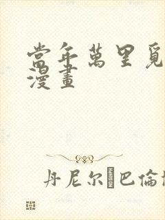 当年万里觅封侯漫画