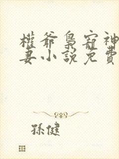 权爷枭宠神秘娇妻小说免费阅读