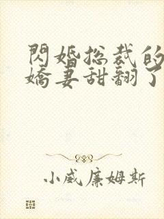 闪婚总裁的农村娇妻甜翻了短剧免费观看