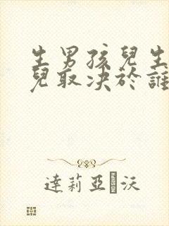 生男孩儿生女孩儿取决于谁封面