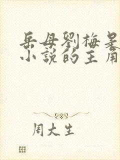 岳母刘梅是哪个小说的主角