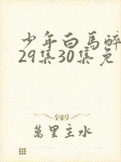 少年白马醉春风29集30集免费观看