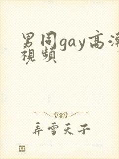 男同gay高潮视频