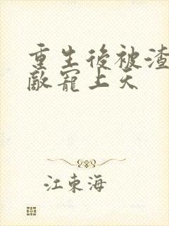 重生后被渣男死敌宠上天