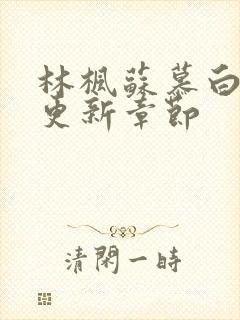 林枫苏慕白刚刚更新章节封面