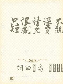 只恨情深不识鸢短剧免费观看完整版封面