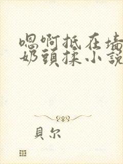 嗯啊抵在墙上h奶头揉小说