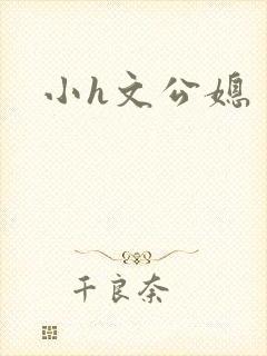 小h文公媳