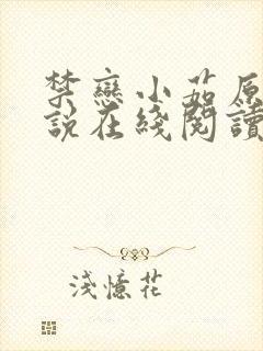 禁恋小茹原著小说在线阅读免费