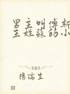 男主叫傅斯年女主姓苏的小说