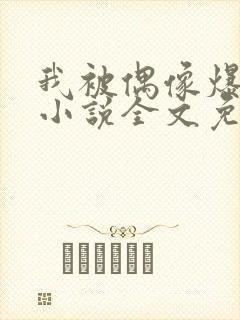 我被偶像爆炒了小说全文免费阅读