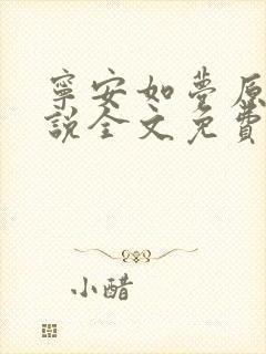宁安如梦原著小说全文免费封面