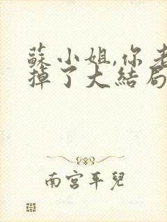 苏小姐,你老公掉了大结局