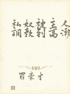 私奴被主人玩弄调教到高潮视频