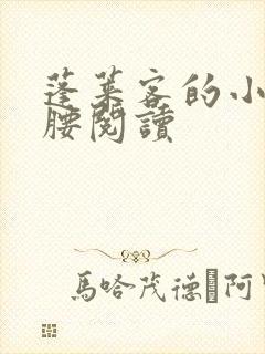 蓬莱客的小说折腰阅读