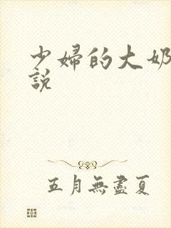 少妇的大奶子小说