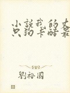 小说我的丈夫是只狗卡酷最新章节