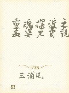 灵魂摆渡之黄泉孟婆免费观看