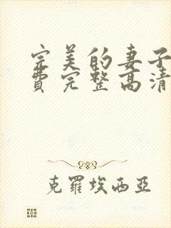 完美的妻子4免费完整高清电视剧在线看