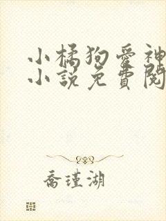 小橘狗爱神在下小说免费阅读全文