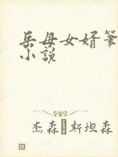 岳母女婿笔趣阁小说