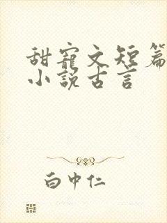 甜宠文短篇完结小说古言