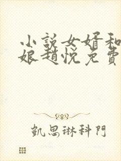 小说女婿和丈母娘赵悦免费阅读