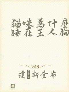 猫咪为什么喜欢睡在主人胸口