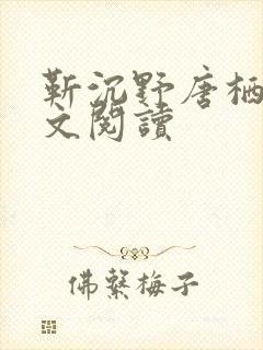 靳沉野唐栖雾全文阅读
