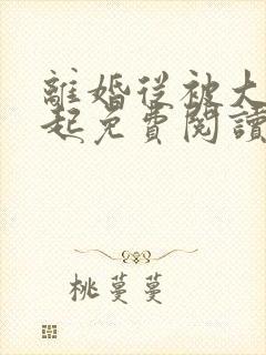 离婚从被大佬追起免费阅读全文