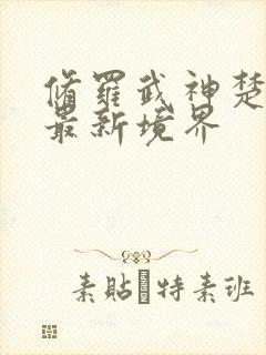 修罗武神楚枫的最新境界封面