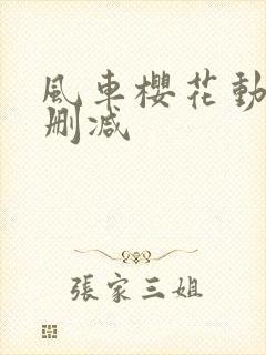 风车樱花动漫无删减