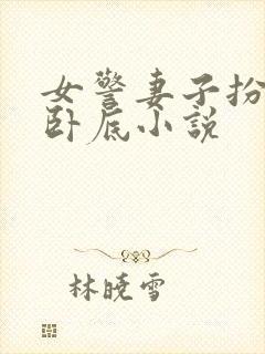 女警妻子扮夫妻卧底小说