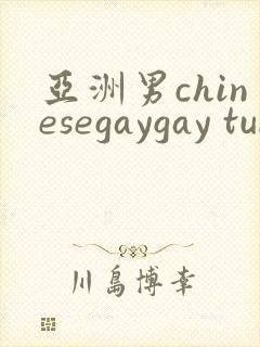 亚洲男chinesegaygay tube