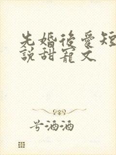 先婚后爱短篇小说甜宠文