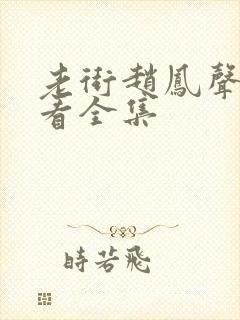 老街赵凤声免费看全集