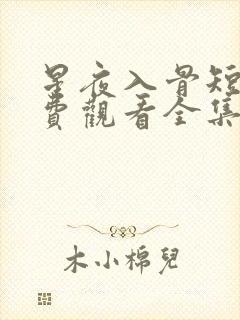 星夜入骨短剧免费观看全集完整版